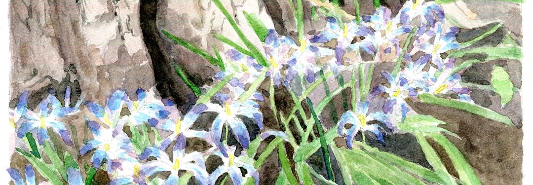 Spring Flowers - watercolor painting