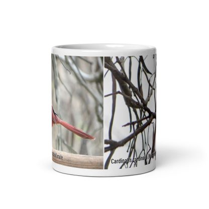 Cardinalis cardinalis (Northern cardinal) mug - Image 3