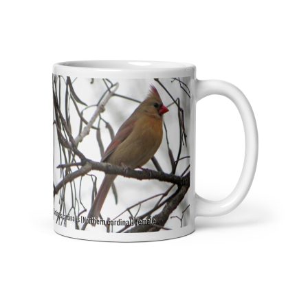 Cardinalis cardinalis (Northern cardinal) mug - Image 2